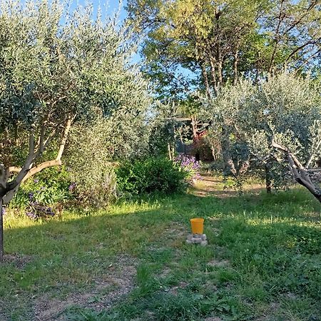 Apartmán Studio 25M2 Avec Piscine Et Spa, Proche Iter Et Cadarache Valensole Exteriér fotografie