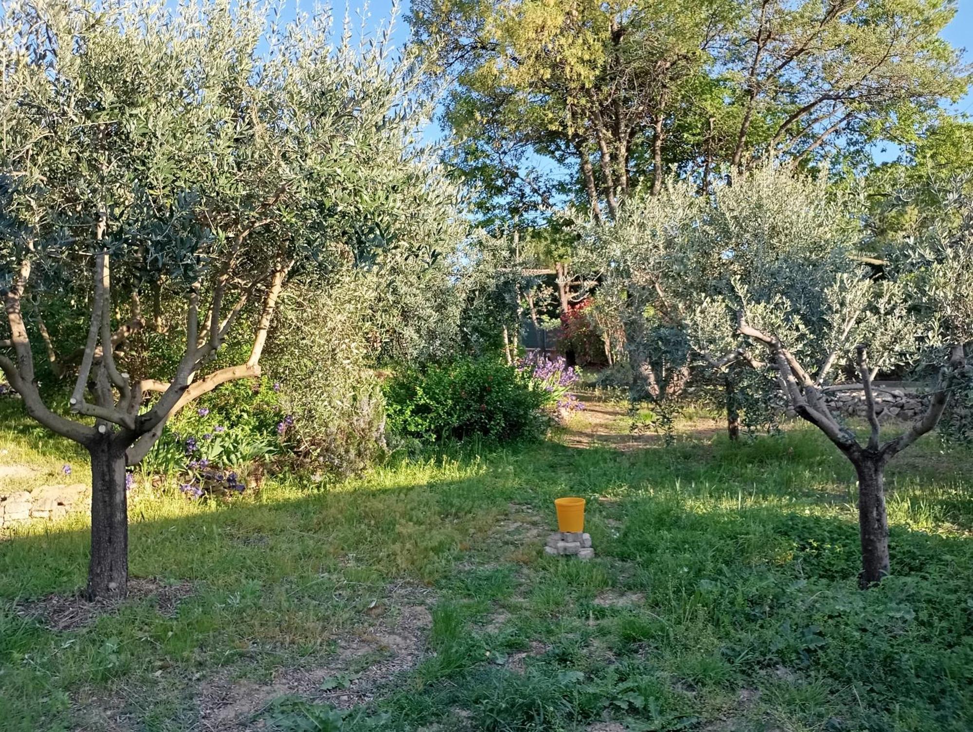 Apartmán Studio 25M2 Avec Piscine Et Spa, Proche Iter Et Cadarache Valensole Exteriér fotografie
